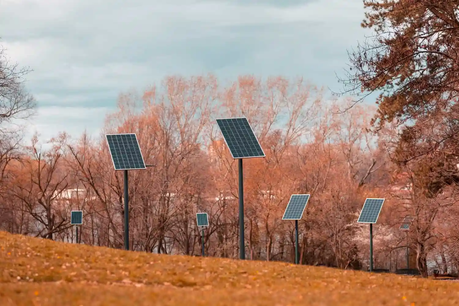 Paneles solares sobre postes en un parque