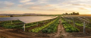 agricultura paneles solares